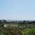 Ap322 - Mirlo Nerja