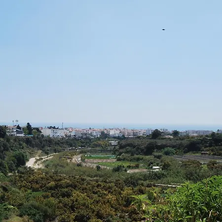 Ap322 - Mirlo נרחה