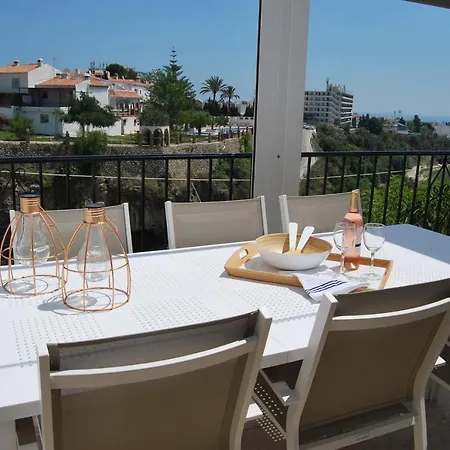 Ap322 - Mirlo * Nerja